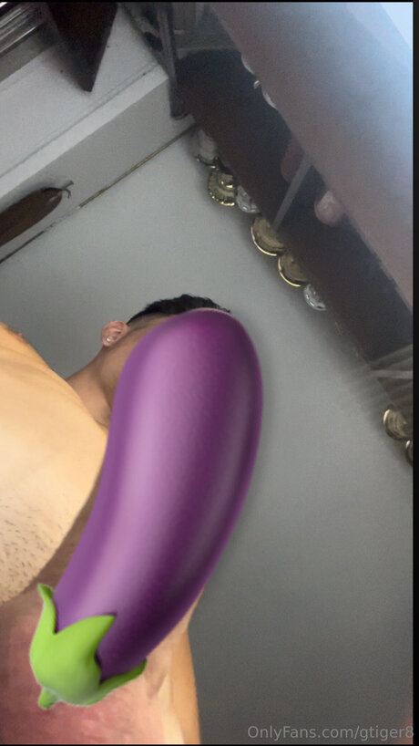 Gtiger8 étoile magnifique photos