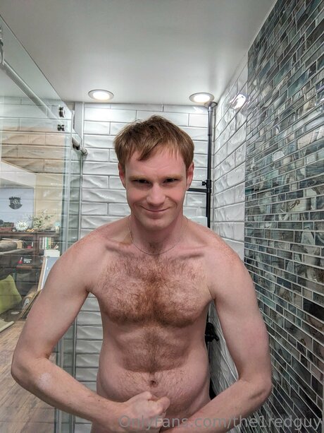 The1redguy haut de star du porno img