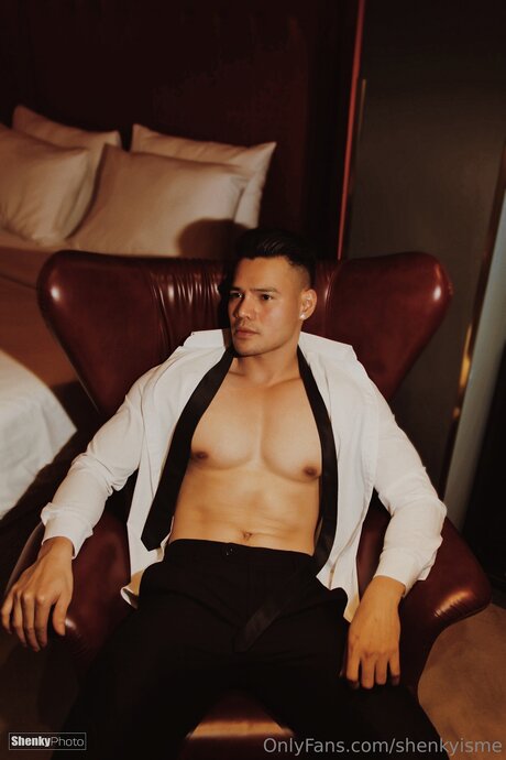 Shenkyisme haut de star du porno galerie