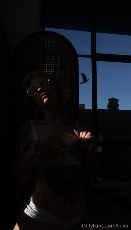 Soleil haut de star du porno photos