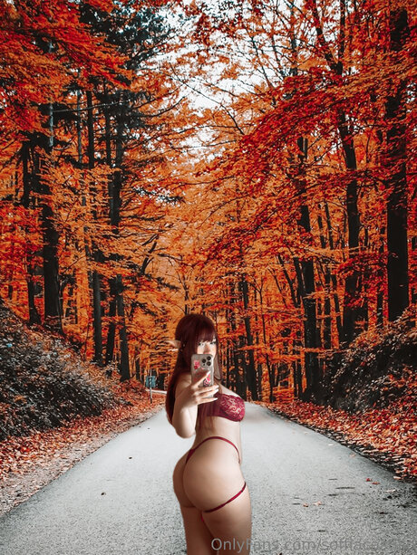 Soffiacastillo étoile adulte image