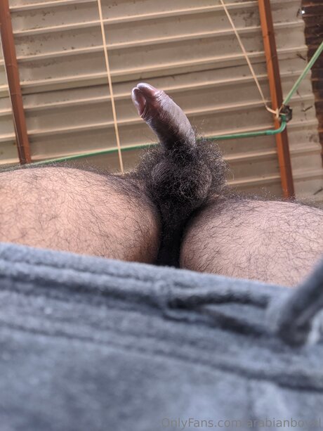 Arabianboyxl actrice sexy galeries