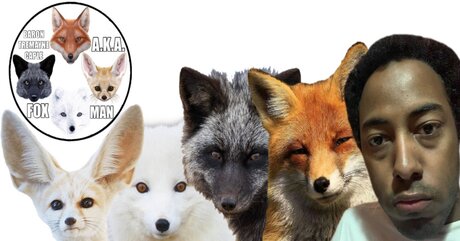 Barontremaynecaple star du porno des photos