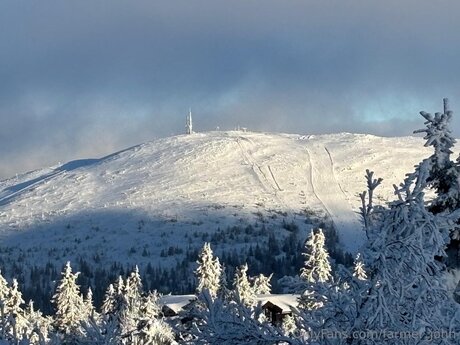 Farmer John star du porno sympa photo