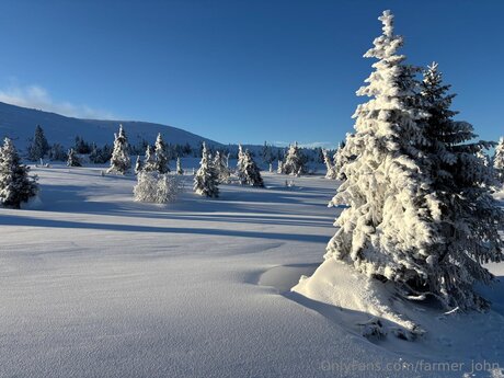 Farmer John art modèle galerie