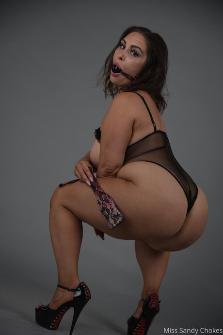 Freesandychokes star du porno belle images