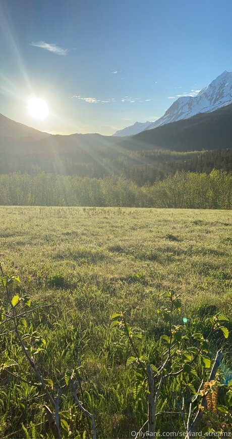Seward Streamz belle étoile images