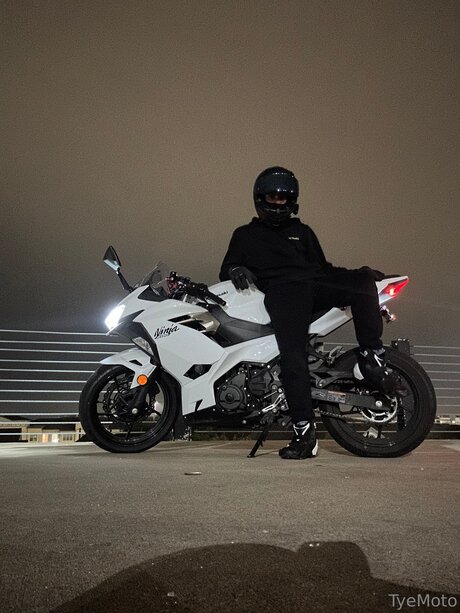 Tyemoto modèle parfait galerie