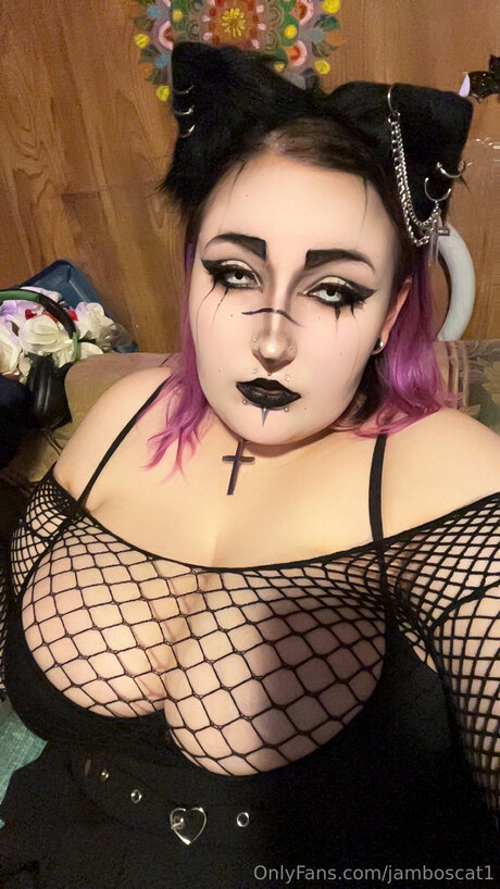 Jamboscat1 étoile de haute qualité collection