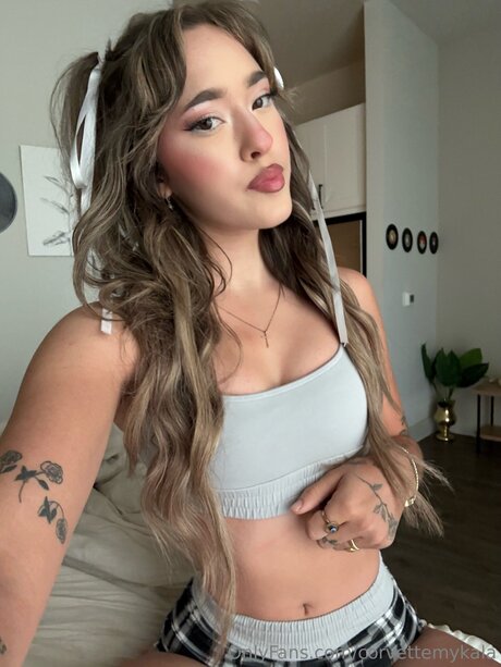 Corvettemykala étoile de l'art image