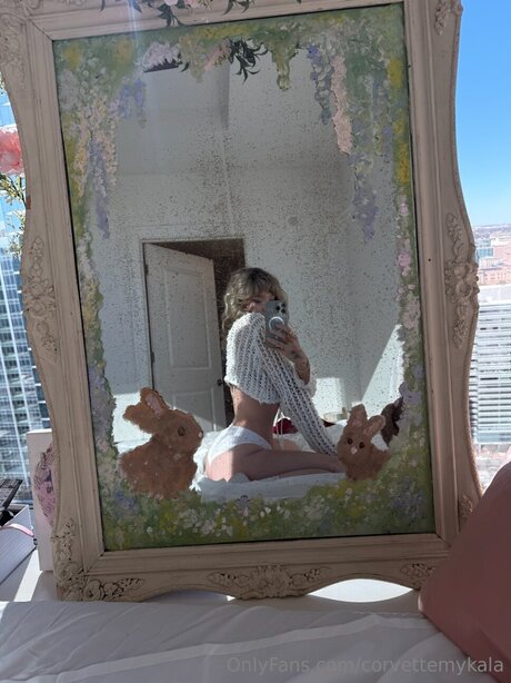 Corvettemykala haut de star du porno images