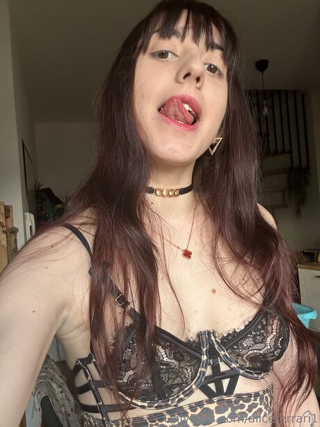 Aliceferrari1 star du porno érotique image