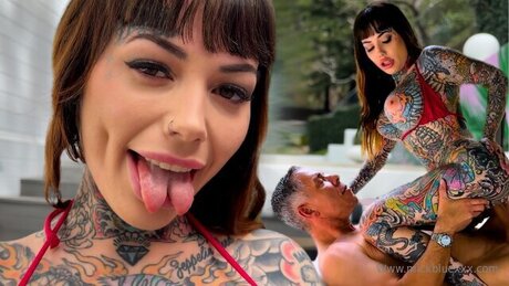 Mickblue art de star du porno collection