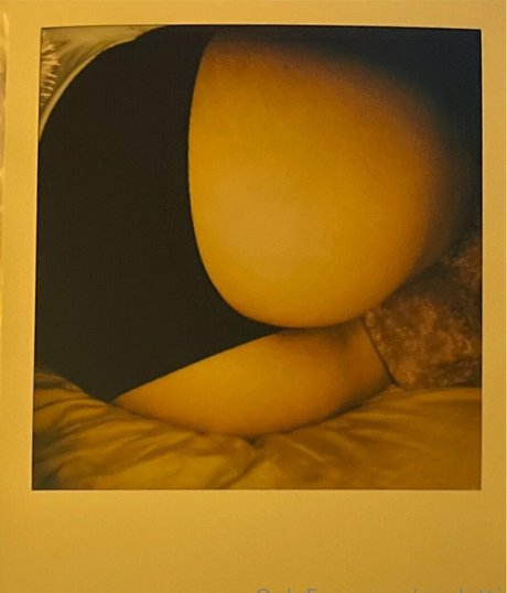 povlotti beau modèle img