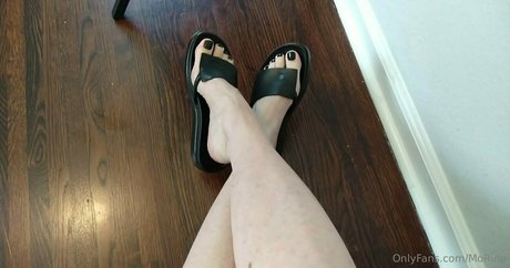 morina modèle hd img