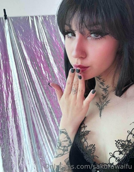 sakurawaifu star du porno sexy img