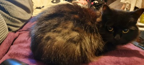 joebutnsfw actrice de sexe archive