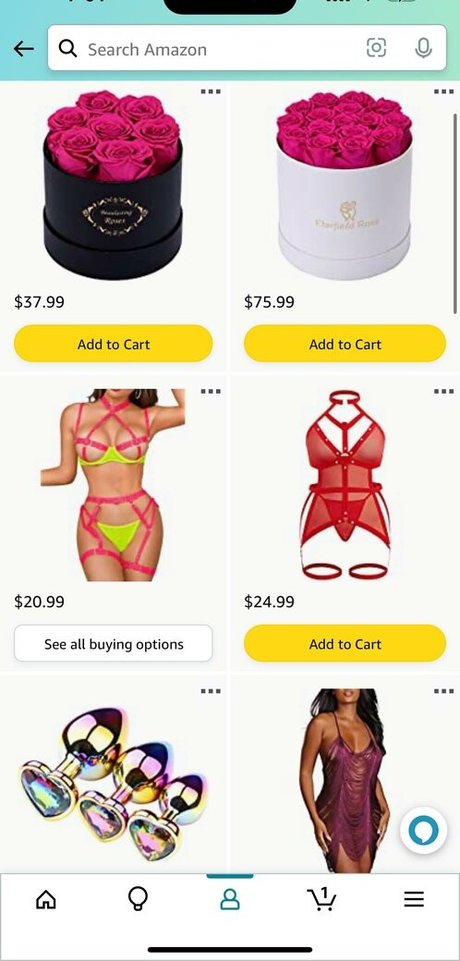 thelingerielounge étoile chaude collection