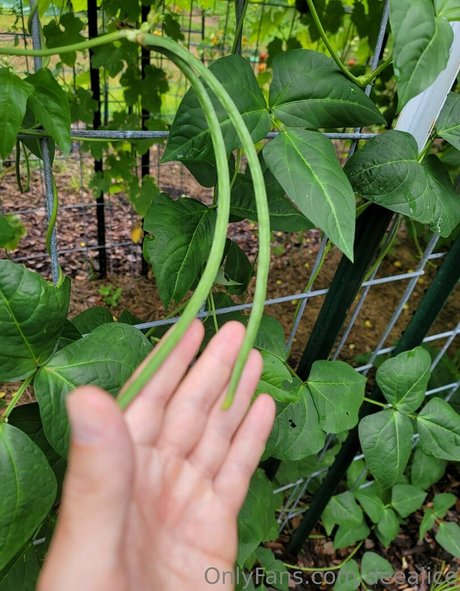 deealice belle actrice image