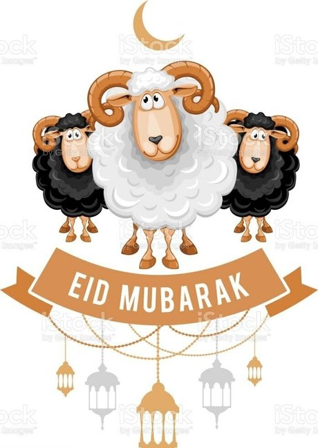 arabiano étoile de haute qualité photo