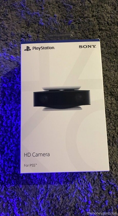 honeygold étoile de l'art galeries