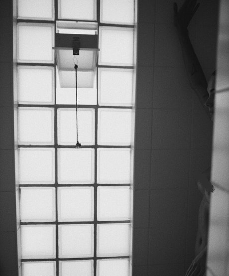 Venosere étoile gratuite photo