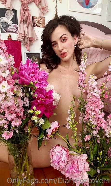 diaryforlovers belle étoile galerie