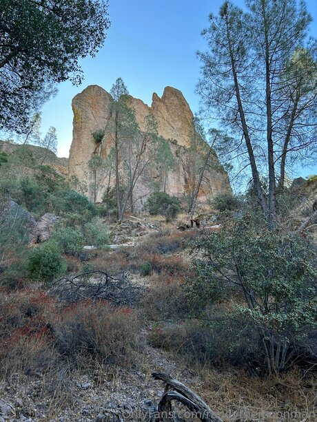 Thatmoonman étoile adulte des photos