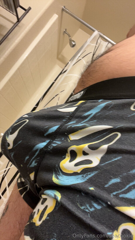 Seacookie jolie actrice photo