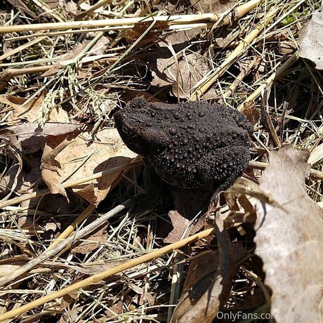 Loneranger2017 modèle porno collection