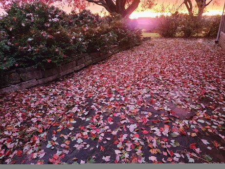 Loneranger2017 modèle gratuit image