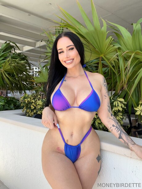 Moneybirdettevip Profilfoto