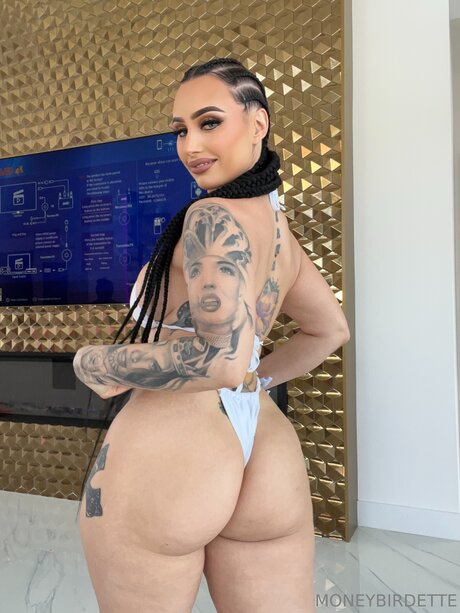 Moneybirdettevip star du porno en haute qualité collection