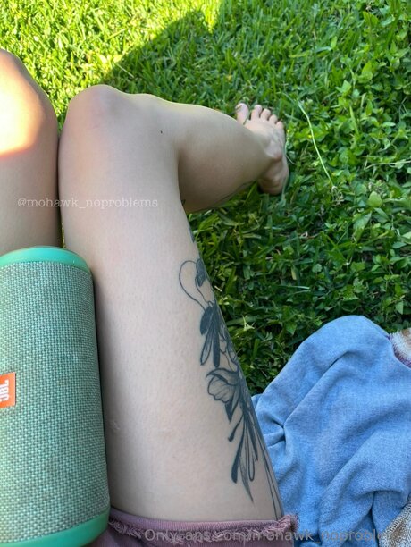 Mohawk Noproblems modèles nus img