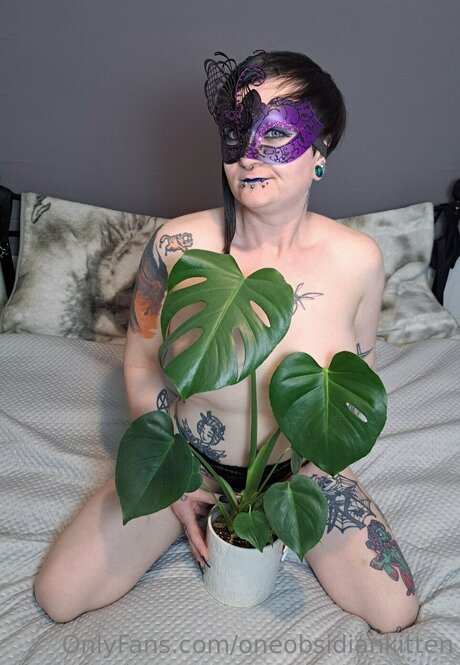 Oneobsidiankitten étoile de l'art img