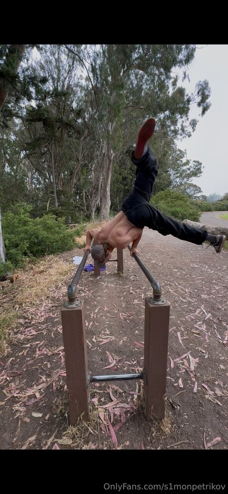 S1monpetrikov art star du porno galerie