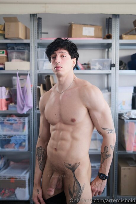 Artemisbold jolie actrice photo