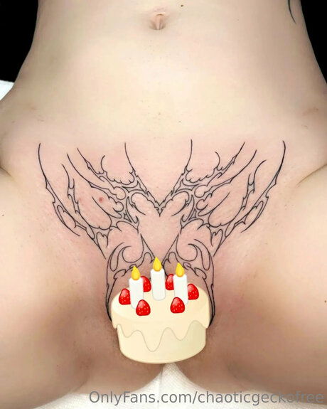 Chaoticgeckofree étoile images