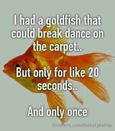 Thekatykatvip étoile sexy des photos