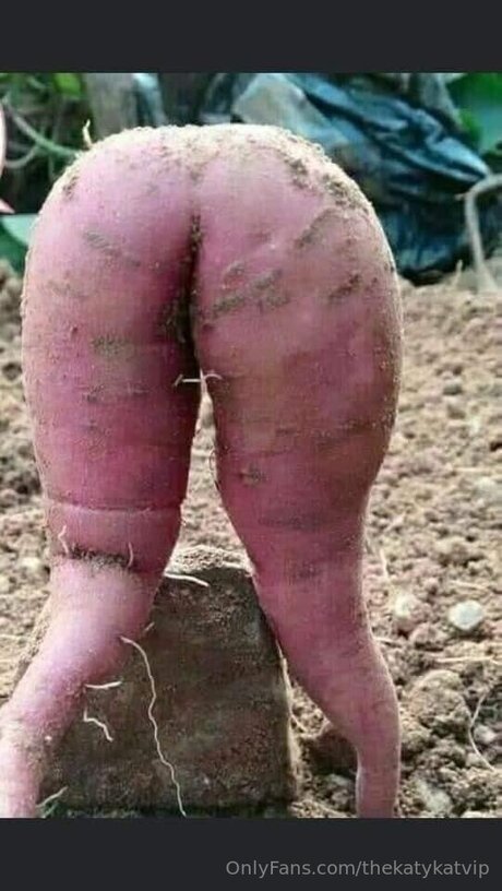 Thekatykatvip jolie étoile images