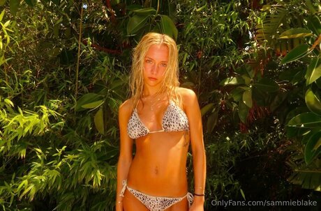 Sammieblake étoile adulte archive