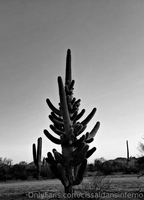 Cissaldansinferno actrice porno img