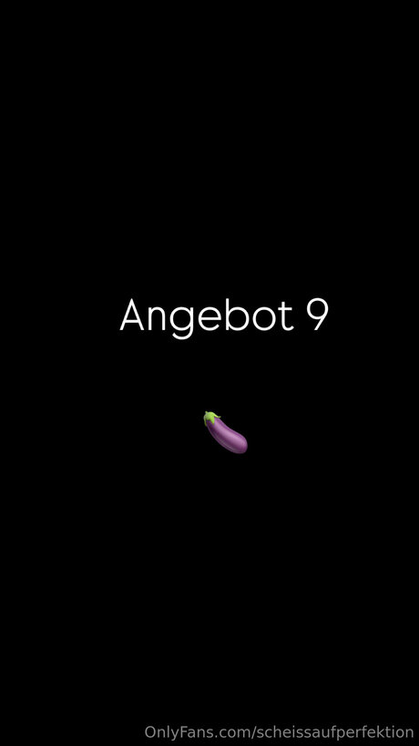 Scheissaufperfektion modèle exclusif galeries