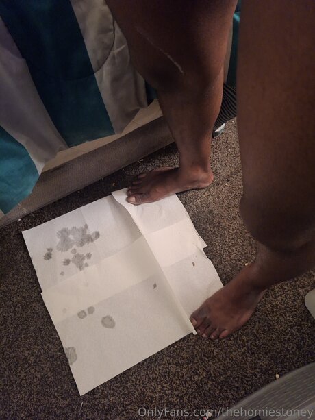 Thehomiestoney haut de star du porno img