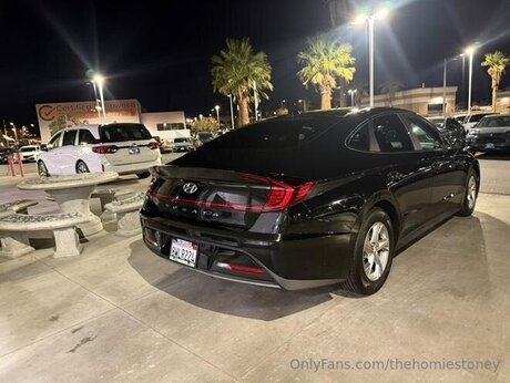 Thehomiestoney beau modèle img