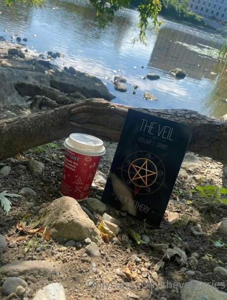 Theveilseries haut étoile images