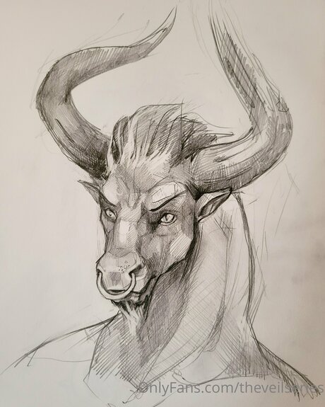 Theveilseries belle star du porno images