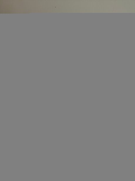 Martina Pzz meilleure star du porno images