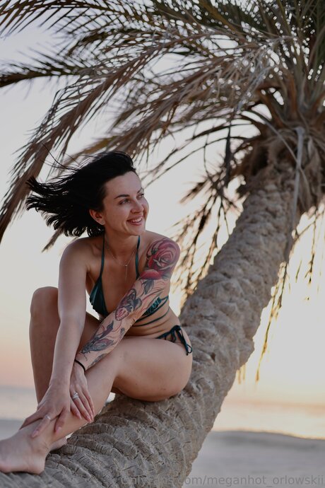 Meganhot Orlowskii modèle adulte archive