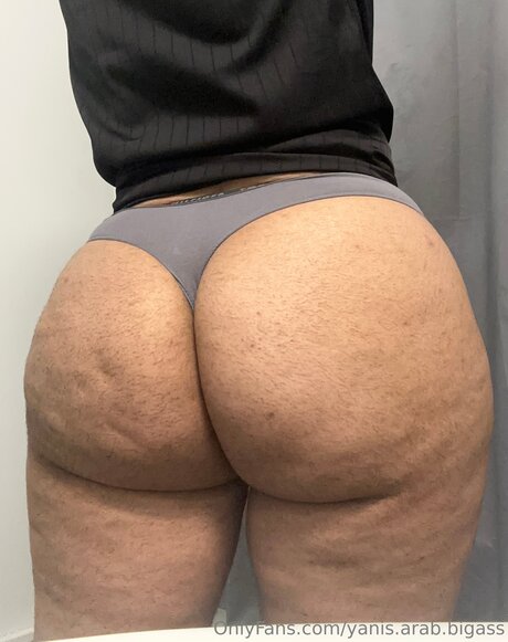 Yanis Arab Bigass étoile galeries